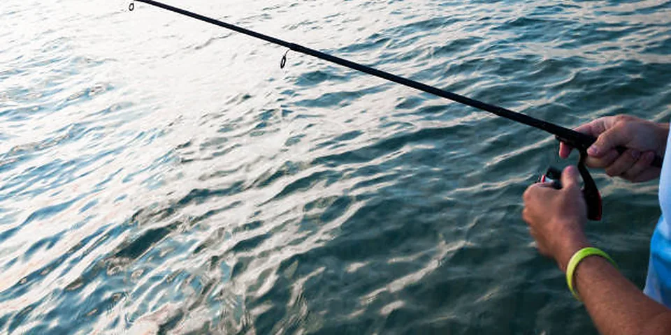 Fishing rod beside quiet coastal water with no people or text