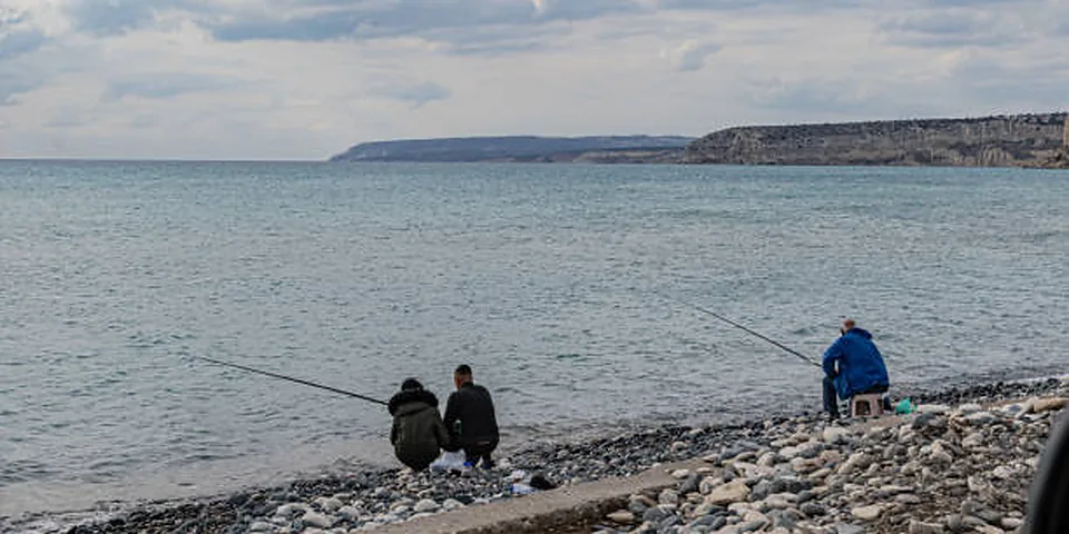 Fishing rod beside a clear rocky stream with natural forest shoreline