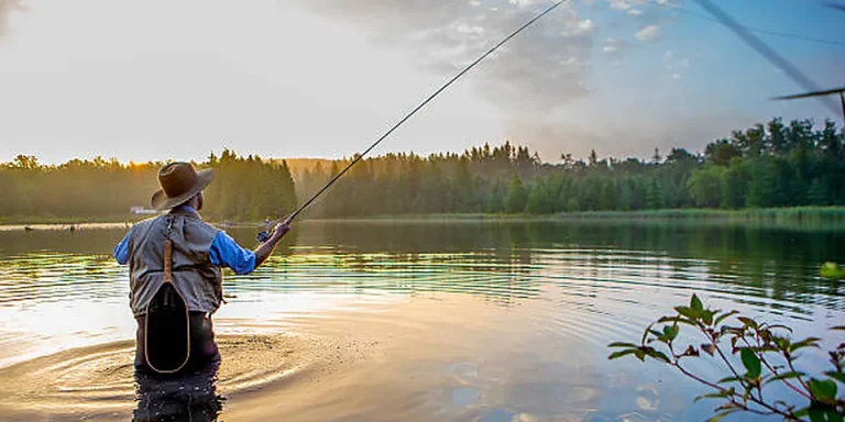 Crabbing in Texas: License Requirements 2026