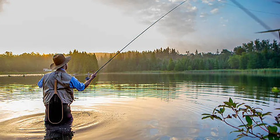Fishing rod beside quiet coastal water with no people or text
