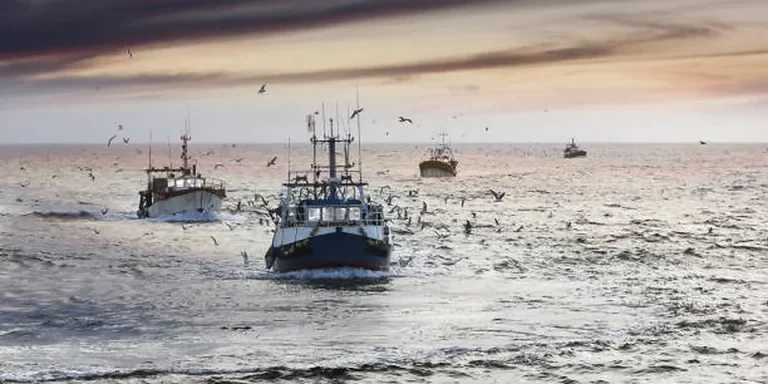 Texas Fishing License Cost 2026: Freshwater, Salt & All-Water