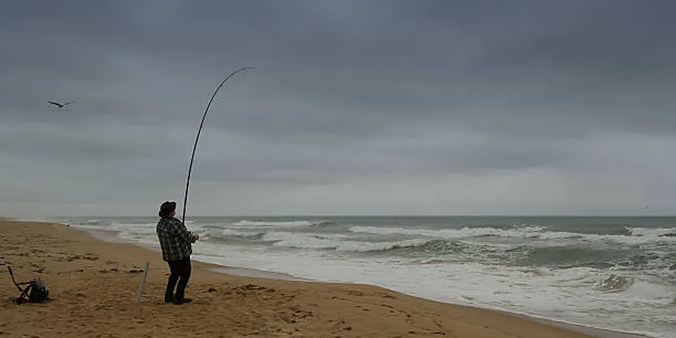 Fishing rod on a quiet lakeshore with reeds and open water