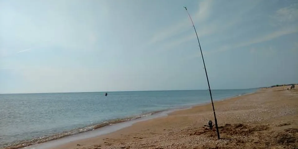 Fishing rod beside quiet coastal water with no people or text