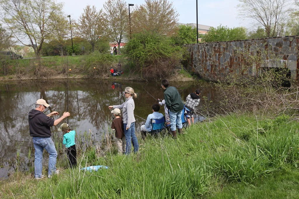 Families fishing beside a lakeshore