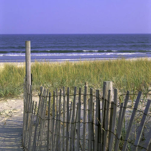 Coastal Virginia shoreline at Chincoteague
