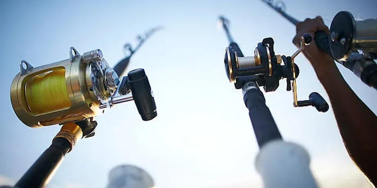 Wyoming Nonresident Fishing License 2026: Cost & Short-Term Options