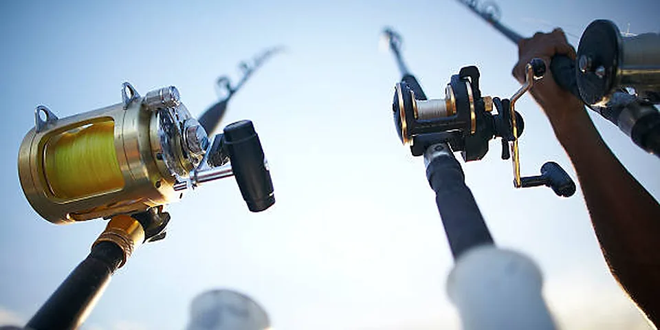 Several unbranded fishing rods arranged on a dock beside water
